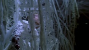 Filename=extant_StarTrek_ENT_1x22-VoxSola_2072.jpg
Filesize=189KiB
Dimensions=1920x1080
Date added=May 30, 2020 extant_StarTrek_ENT_1x22-VoxSola_2072.jpg