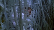 Filename=extant_StarTrek_ENT_1x22-VoxSola_2079.jpg
Filesize=233KiB
Dimensions=1920x1080
Date added=May 30, 2020 extant_StarTrek_ENT_1x22-VoxSola_2079.jpg