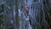 Filename=extant_StarTrek_ENT_1x22-VoxSola_2082.jpg
Filesize=238KiB
Dimensions=1920x1080
Date added=May 30, 2020 extant_StarTrek_ENT_1x22-VoxSola_2082.jpg