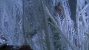 Filename=extant_StarTrek_ENT_1x22-VoxSola_2096.jpg
Filesize=241KiB
Dimensions=1920x1080
Date added=May 30, 2020 extant_StarTrek_ENT_1x22-VoxSola_2096.jpg