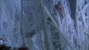 Filename=extant_StarTrek_ENT_1x22-VoxSola_2097.jpg
Filesize=267KiB
Dimensions=1920x1080
Date added=May 30, 2020 extant_StarTrek_ENT_1x22-VoxSola_2097.jpg