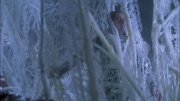 extant_StarTrek_ENT_1x22-VoxSola_2098.jpg