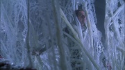 Filename=extant_StarTrek_ENT_1x22-VoxSola_2099.jpg
Filesize=250KiB
Dimensions=1920x1080
Date added=May 30, 2020 extant_StarTrek_ENT_1x22-VoxSola_2099.jpg
