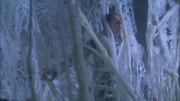 extant_StarTrek_ENT_1x22-VoxSola_2101.jpg