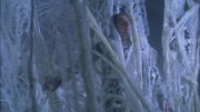 extant_StarTrek_ENT_1x22-VoxSola_2102.jpg