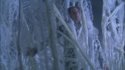 extant_StarTrek_ENT_1x22-VoxSola_2103.jpg
