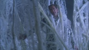 extant_StarTrek_ENT_1x22-VoxSola_2104.jpg