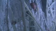 extant_StarTrek_ENT_1x22-VoxSola_2105.jpg