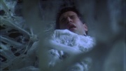 extant_StarTrek_ENT_1x22-VoxSola_2114.jpg