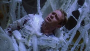extant_StarTrek_ENT_1x22-VoxSola_2136.jpg