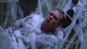 extant_StarTrek_ENT_1x22-VoxSola_2153.jpg