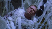 extant_StarTrek_ENT_1x22-VoxSola_2157.jpg