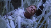 Filename=extant_StarTrek_ENT_1x22-VoxSola_2159.jpg
Filesize=229KiB
Dimensions=1920x1080
Date added=May 30, 2020 extant_StarTrek_ENT_1x22-VoxSola_2159.jpg