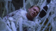 extant_StarTrek_ENT_1x22-VoxSola_2162.jpg