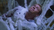 Filename=extant_StarTrek_ENT_1x22-VoxSola_2184.jpg
Filesize=202KiB
Dimensions=1920x1080
Date added=May 30, 2020 extant_StarTrek_ENT_1x22-VoxSola_2184.jpg