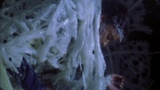 Filename=extant_StarTrek_ENT_1x22-VoxSola_2777.jpg
Filesize=182KiB
Dimensions=1920x1080
Date added=May 30, 2020 extant_StarTrek_ENT_1x22-VoxSola_2777.jpg