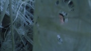 Filename=extant_StarTrek_ENT_1x22-VoxSola_2788.jpg
Filesize=193KiB
Dimensions=1920x1080
Date added=May 30, 2020 extant_StarTrek_ENT_1x22-VoxSola_2788.jpg