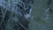 Filename=extant_StarTrek_ENT_1x22-VoxSola_2789.jpg
Filesize=199KiB
Dimensions=1920x1080
Date added=May 30, 2020 extant_StarTrek_ENT_1x22-VoxSola_2789.jpg
