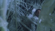 Filename=extant_StarTrek_ENT_1x22-VoxSola_2790.jpg
Filesize=216KiB
Dimensions=1920x1080
Date added=May 30, 2020 extant_StarTrek_ENT_1x22-VoxSola_2790.jpg