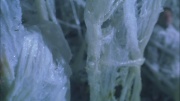 Filename=extant_StarTrek_ENT_1x22-VoxSola_2795.jpg
Filesize=172KiB
Dimensions=1920x1080
Date added=May 30, 2020 extant_StarTrek_ENT_1x22-VoxSola_2795.jpg