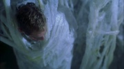 Filename=extant_StarTrek_ENT_1x22-VoxSola_2798.jpg
Filesize=173KiB
Dimensions=1920x1080
Date added=May 30, 2020 extant_StarTrek_ENT_1x22-VoxSola_2798.jpg
