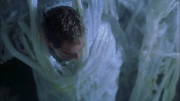 Filename=extant_StarTrek_ENT_1x22-VoxSola_2801.jpg
Filesize=182KiB
Dimensions=1920x1080
Date added=May 30, 2020 extant_StarTrek_ENT_1x22-VoxSola_2801.jpg
