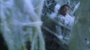 extant_StarTrek_ENT_1x22-VoxSola_2830.jpg