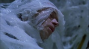 extant_StarTrek_ENT_1x22-VoxSola_3007.jpg