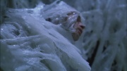 extant_StarTrek_ENT_1x22-VoxSola_3014.jpg