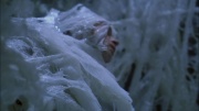extant_StarTrek_ENT_1x22-VoxSola_3015.jpg