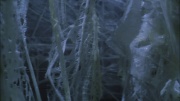 Filename=extant_StarTrek_ENT_1x22-VoxSola_3021.jpg
Filesize=184KiB
Dimensions=1920x1080
Date added=May 30, 2020 extant_StarTrek_ENT_1x22-VoxSola_3021.jpg