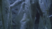Filename=extant_StarTrek_ENT_1x22-VoxSola_3023.jpg
Filesize=179KiB
Dimensions=1920x1080
Date added=May 30, 2020 extant_StarTrek_ENT_1x22-VoxSola_3023.jpg