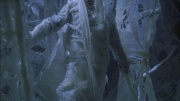 Filename=extant_StarTrek_ENT_1x22-VoxSola_3024.jpg
Filesize=200KiB
Dimensions=1920x1080
Date added=May 30, 2020 extant_StarTrek_ENT_1x22-VoxSola_3024.jpg