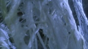 Filename=extant_StarTrek_ENT_1x22-VoxSola_3032.jpg
Filesize=214KiB
Dimensions=1920x1080
Date added=May 30, 2020 extant_StarTrek_ENT_1x22-VoxSola_3032.jpg
