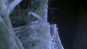 Filename=extant_StarTrek_ENT_1x22-VoxSola_3038.jpg
Filesize=191KiB
Dimensions=1920x1080
Date added=May 30, 2020 extant_StarTrek_ENT_1x22-VoxSola_3038.jpg