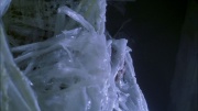 Filename=extant_StarTrek_ENT_1x22-VoxSola_3039.jpg
Filesize=199KiB
Dimensions=1920x1080
Date added=May 30, 2020 extant_StarTrek_ENT_1x22-VoxSola_3039.jpg