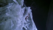 Filename=extant_StarTrek_ENT_1x22-VoxSola_3041.jpg
Filesize=198KiB
Dimensions=1920x1080
Date added=May 30, 2020 extant_StarTrek_ENT_1x22-VoxSola_3041.jpg
