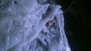Filename=extant_StarTrek_ENT_1x22-VoxSola_3044.jpg
Filesize=241KiB
Dimensions=1920x1080
Date added=May 30, 2020 extant_StarTrek_ENT_1x22-VoxSola_3044.jpg