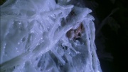 Filename=extant_StarTrek_ENT_1x22-VoxSola_3046.jpg
Filesize=241KiB
Dimensions=1920x1080
Date added=May 30, 2020 extant_StarTrek_ENT_1x22-VoxSola_3046.jpg