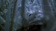 Filename=extant_StarTrek_ENT_1x22-VoxSola_3300.jpg
Filesize=142KiB
Dimensions=1920x1080
Date added=May 30, 2020 extant_StarTrek_ENT_1x22-VoxSola_3300.jpg