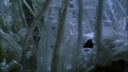 Filename=extant_StarTrek_ENT_1x22-VoxSola_3302.jpg
Filesize=159KiB
Dimensions=1920x1080
Date added=May 30, 2020 extant_StarTrek_ENT_1x22-VoxSola_3302.jpg