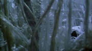 extant_StarTrek_ENT_1x22-VoxSola_3303.jpg