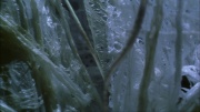 Filename=extant_StarTrek_ENT_1x22-VoxSola_3304.jpg
Filesize=171KiB
Dimensions=1920x1080
Date added=May 30, 2020 extant_StarTrek_ENT_1x22-VoxSola_3304.jpg