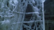 Filename=extant_StarTrek_ENT_1x22-VoxSola_3347.jpg
Filesize=212KiB
Dimensions=1920x1080
Date added=May 30, 2020 extant_StarTrek_ENT_1x22-VoxSola_3347.jpg