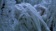 extant_StarTrek_ENT_1x22-VoxSola_3404.jpg