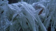 extant_StarTrek_ENT_1x22-VoxSola_3407.jpg