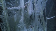 Filename=extant_StarTrek_ENT_1x22-VoxSola_3413.jpg
Filesize=218KiB
Dimensions=1920x1080
Date added=May 30, 2020 extant_StarTrek_ENT_1x22-VoxSola_3413.jpg