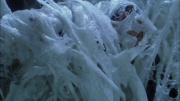 extant_StarTrek_ENT_1x22-VoxSola_3418.jpg
