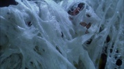 Filename=extant_StarTrek_ENT_1x22-VoxSola_3419.jpg
Filesize=247KiB
Dimensions=1920x1080
Date added=May 30, 2020 extant_StarTrek_ENT_1x22-VoxSola_3419.jpg
