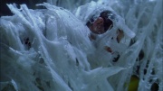 Filename=extant_StarTrek_ENT_1x22-VoxSola_3421.jpg
Filesize=221KiB
Dimensions=1920x1080
Date added=May 30, 2020 extant_StarTrek_ENT_1x22-VoxSola_3421.jpg